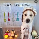 🐶🏡전주근교 애견동반펜션 &lt;랑랑&amp;랑개&gt;🏡🐶