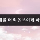 속눈썹J