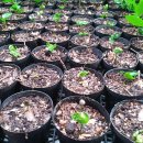 희정농장 이미지