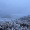 도시고양이생존연구소 이미지