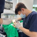 이바루미치과의원 | 한번에 사랑니 2개, 4개 발치하면 더 아플까? (사랑니만 4만개 뽑아본 의사의 답변)