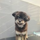 나무쉼터 동물병원 이미지