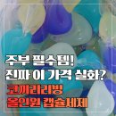 세제 | 코끼리리빙 올인원 캡슐세제 솔직후기 세탁의 끝판왕!