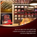 리플렉션 이미지