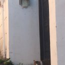 소보앙 이미지