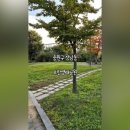 모란생태공원 이미지