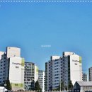 동남아파트 인근 이미지
