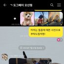 도그베이 오산점 이미지