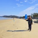 대광해수욕장 이미지