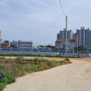 강내면 행정복지센터 이미지