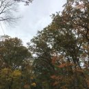 행복한 산책 이미지