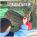 미사리 승마공원 이미지