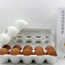 보나팜영농조합 이미지