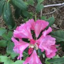 미소공원 이미지