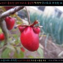 반약 이미지