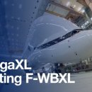 벨루가(Beluga) 이미지