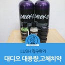 영국 환율 하락! 러쉬 영국 공홈 직구 후기 - 대디오 1kg 대용량 , 더티 고체치약, 라임라이트 투씨탭