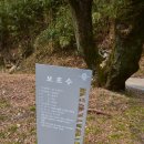 버스정류장_나주시청 이미지