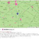 터보2 | 일본 와이파이 라쿠텐 터보 Rakuten Turbo 사용후기2