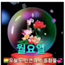 삶의 미덕 이미지