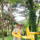 난타 & 컵타(초1~6) | 서천 장항솔숲.갯벌바다 여행기. 초록과 보랏빛 힐링산책
