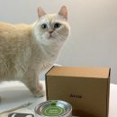 토리 | 고양이 화장실 냄새 제거, 토리 노르웨이숲 고체 탈취제 후기