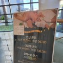 골든오션 | [제주 서귀포 숙소] 호텔골든데이지 서귀포오션 : 슈페리어 더블 후기, 가성비 호텔, 주차, 조식, 매일...