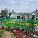 25.07.11 명정동협의회, 서피랑공원 일대 줍깅데이 실시 이미지