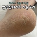 레푸스강남세곡점 이미지