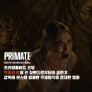[영화리뷰] 프라이메이트 - 침팬지의 탈을 쓴 악마로부터의 생존기 / 줄거리 결말 후기 정보 해석