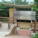 황령산 편백단지 이미지