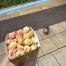 코스맥스펫 주식회사 | 디즈니랜드] 3박4일 여행코스 일정 Day2 | 미녀와야수·몬스터 주식회사 후기 및 간식 추천(+DPA 구매...