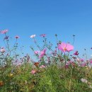 법정스님 말씀 이미지