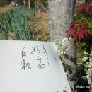 서대천 이미지