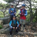 23산우회 대운산 자락 산행 이미지