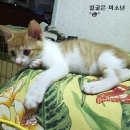 괴정2동-7 이미지