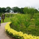 해남군-12 이미지