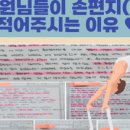 플로플랜 네이버블로그