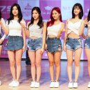 베리 이미지