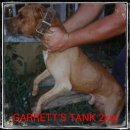 GARRETT'S TANK 2xw 이미지