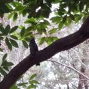 여유로운 아침의 클래식 산책 이미지