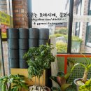 어쭈구리꼬기냉면 이미지