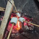 [당진] 초락나루글램핑장 후기(바베큐 무한리필, 조식제공, 석문각 일몰)