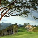 일레븐CC 이미지