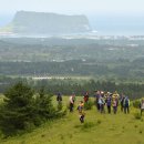 구좌공설묘지 이미지