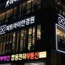 피트아이안경 네이버블로그
