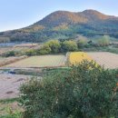 새벽노을 이미지