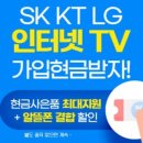 비(B)브로드밴드 | 리브엠 인터넷 결합 할인 금액 알뜰폰 모바일 요금제 b티비 sk브로드밴드 비tv 미니3