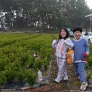 하늘내음 | 익산 미륵사지에 위치한 하늘숲 야영장 캠핑 후기 아이와 함께 즐겁게 보낼수 있는곳