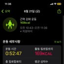 해피센스